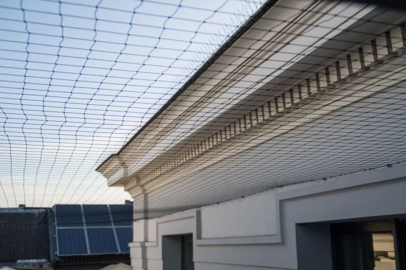 Effective Bird Control Solutions — Cost of Bird Control