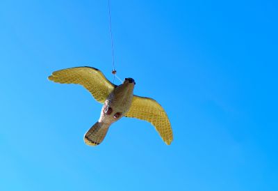 Plastic Falcons!